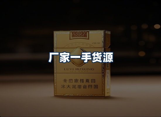 专业团队办公环境